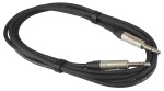 Bespeco NCS300