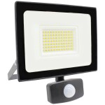 Emos reflektor Led reflektor Ilio s pohybovým čidlem, 10,5 W, černý, neutrální bílá