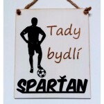 Mdeco Cedulka - fotbalista - Sparťan