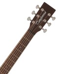 Tanglewood TSP 15 CE