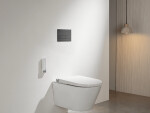 CERANO - Ovládací tlačítko splachování Line k WC modulu Profi - nerezová ocel - grafit/gun metal CER-8050BD80365