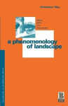 Phenomenology of Landscape