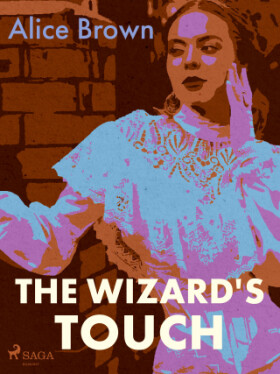 The Wizard's Touch - Alice Brown - e-kniha