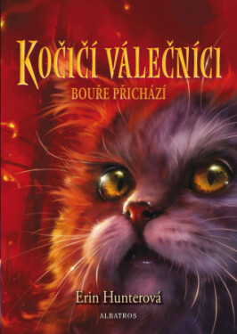 Kočičí válečníci 4: Bouře přichází - Erin Hunterová - e-kniha