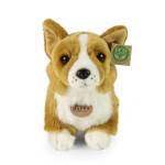 Plyšový pes corgi 32 cm, ECO-FRIENDLY