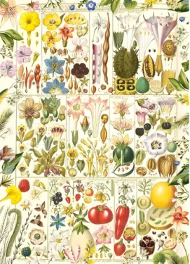 GIBSONS Puzzle Botanická blaženost