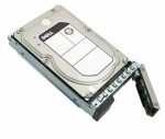 DELL server 4TB / 3.5" / SAS / 7200 rpm / HotPlug / pro PowerEdge R240 R340 R440 R540 R640 R6615 (161-BBPH)