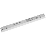 BIG WHITE (SLV) Můstkový LED driver 42 W, 500 mA pro NUMINOS®, včetně radiofrekvenčního rozhraní pro modul RF, DALI 1006459