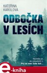 Odbočka lesích