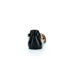 Shapen Lily 3.0 Black Regular