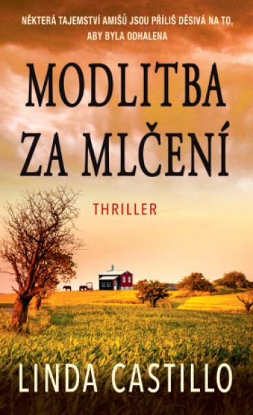 Modlitba za mlčení - Linda Castillo - e-kniha