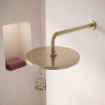 REA - Kulatá dešťová sprcha JS-021 Gold Brush REA-P0391