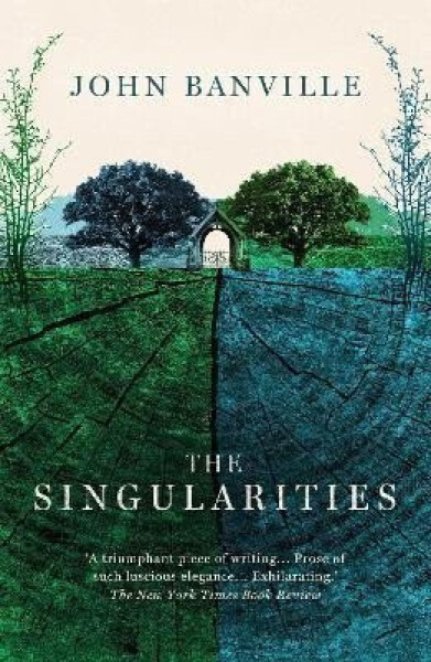 The Singularities John Banville