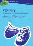 Střípky aneb cesta k psychosomatice a zdraví - Antonie Krzemieňová - e-kniha