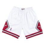 Mitchell & Ness Pánské kraťasy Chicago Bulls NBA 1997-98 Swingman Shorts - Bílá Velikost: S