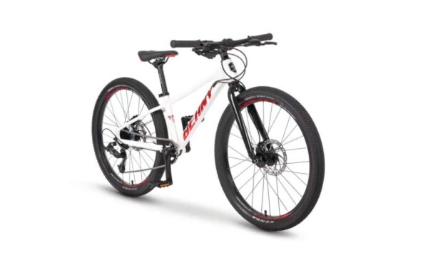 Dětské kolo BEANY BLASTER XC 20", model 2025, barva white