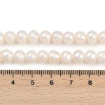 Přírodní sladkovodní perla - smetanově bílá - 7 ~ 8 mm - třída AAA - 1 ks