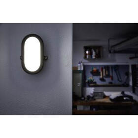 LEDVANCE LED BULKHEAD (EU) L LED světlo do vlhkých prostor LED pevně vestavěné LED 11 W studená bílá bílá - LEDVANCE 4058075271661