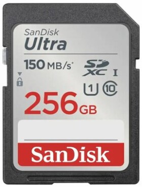 SanDisk SDXC Class 10 256GB SDSDUNC-256G-GN6IN