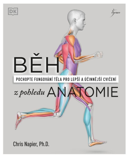 Běh pohledu anatomie