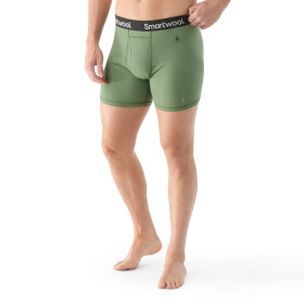 Pánské merino boxerky SMARTWOOL Men's Merino Boxer Brief Boxed, Fern Green velikost: XL