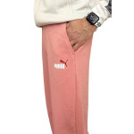 Kalhoty Puma Ess+ 2 Col Logo M 586768 62 L