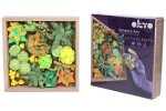 OKTO Energy Výtvarná modelovací sada sukulenty v dřevěném rámu 21x21 cm, OKTO, W031040