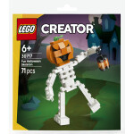 LEGO LEGO® Creator 30717 Zábavný halloweenský kostlivec