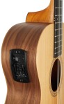 Taylor Academy 12e-N