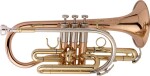 Getzen 800 DLX Eterna