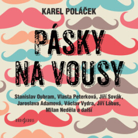 Pásky na vousy - Karel Poláček, Jiří Lábus, Jaroslava Adamová, Jiří Sovák, Taťjana Medvecká, Stanislav Oubram, Milan Neděla, Vlasta Peterková - audiok