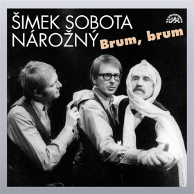 Brum, brum - Luděk Sobota