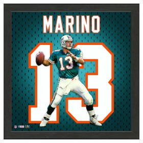 Obraz Miami Dolphins NFL Dan Marino #13 Impact Jersey