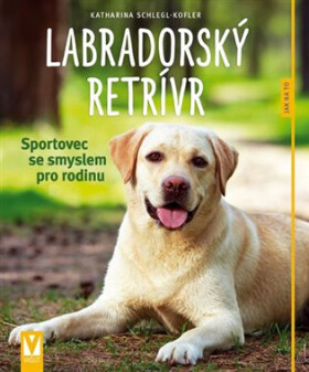 Labradorský retrívr - Sportovec se smyslem pro rodinu - Katarina Schlegr Kofler