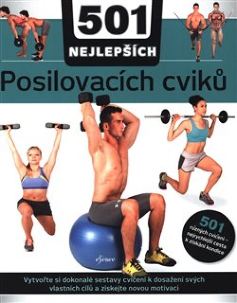 501 NEJLEPŠÍCH posilovacích cviků - Natasha Diamond-Walkerová