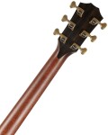 Taylor Builders Edition 914ce