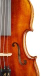 Violin Schönbach Golden/Brown