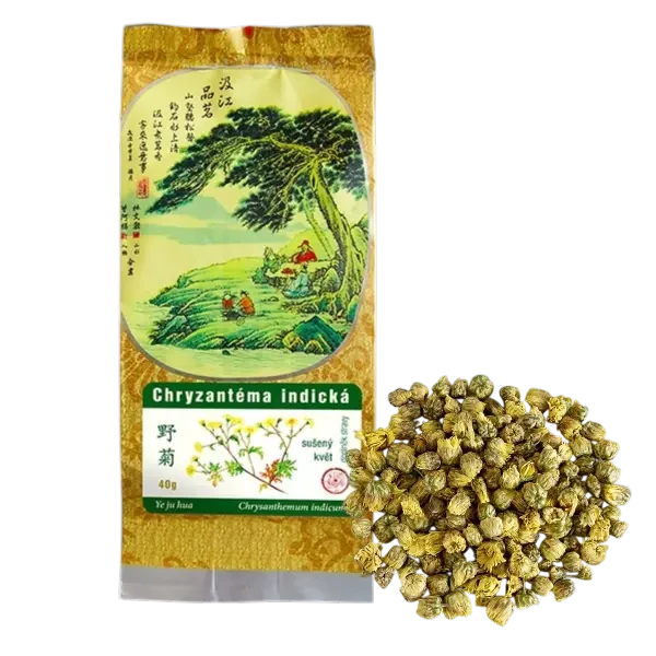 Chryzantéma indická 40g