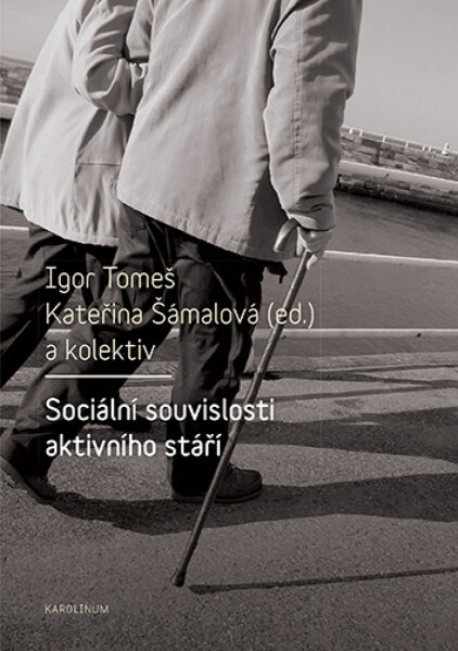 Sociální souvislosti aktivního stáří - Igor Tomeš, Kateřina Šámalová