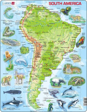 Puzzle South America Topographic Map