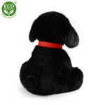 Plyšový pes labrador s vodítkem 28 cm, ECO-FRIENDLY