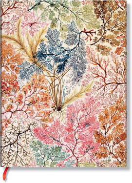 William Kilburn / Anemone / Ultra / Lined