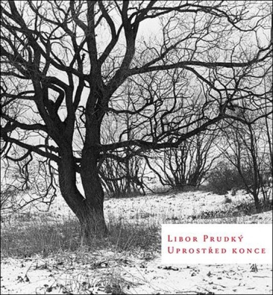 Uprostřed konce - Libor Prudký