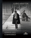 Lubo Kristek Genius Loci Cobwebbed