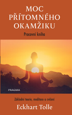 Moc přítomného okamžiku – pracovní kniha - Eckhart Tolle