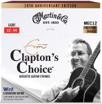 Martin Eric Clapton 20th Anniversary Strings Light