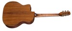 Eastman DM1