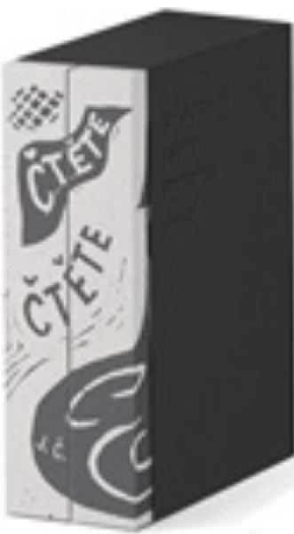 Pracoval jsem mnoho - Soupis výtvarného díla Josefa Čapka IV - Pavla Pečinková