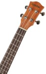 Cascha HH 2048E Tenor Mahogany Ukulele Set EQ