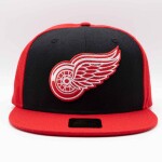 Starter Pánská kšiltovka Detroit Red Wings NHL Team Logo Snapback